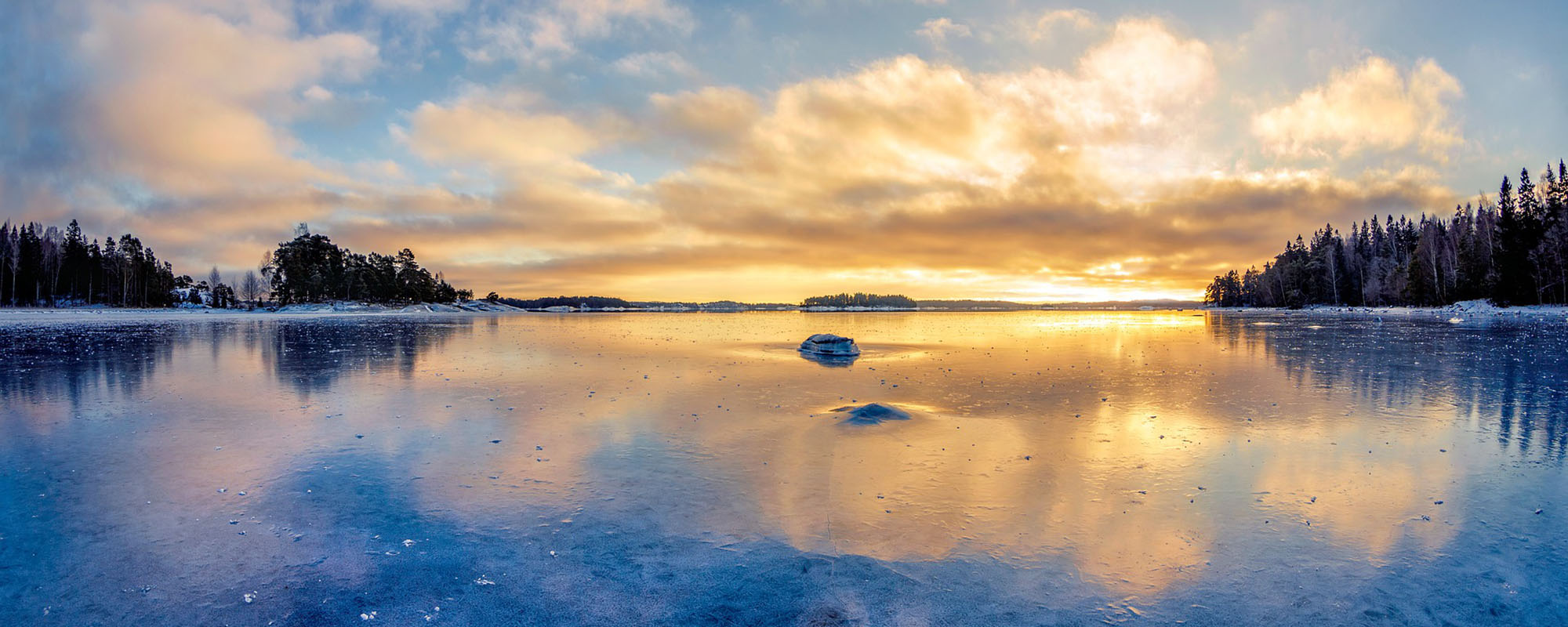 sverige natur is viking tvål shampo